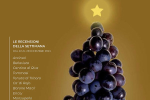 I Vini di WineNews - N. 342