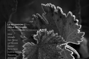 I Vini di WineNews - N. 343