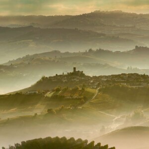 Le Langhe alla ricerca della felicità: la riflessione di Petrini (e dei produttori) sul “benessere”