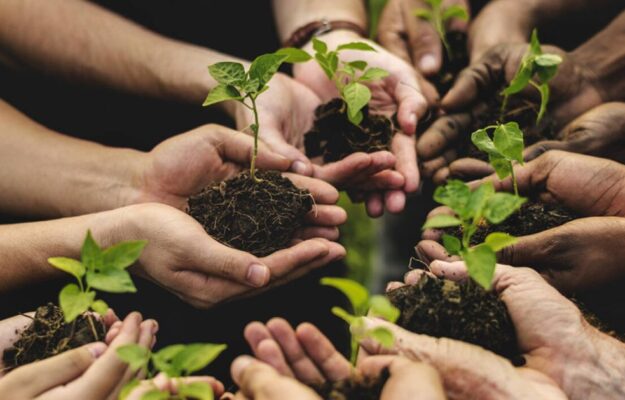 AGRICOLTURA, AGRICOLTURA ARTIGIANA, CONVERSIONE ECOLOGICA, ECOLOGIA INTEGRALE, GIANNOZZO PUCCI, SLOW FOOD, Non Solo Vino