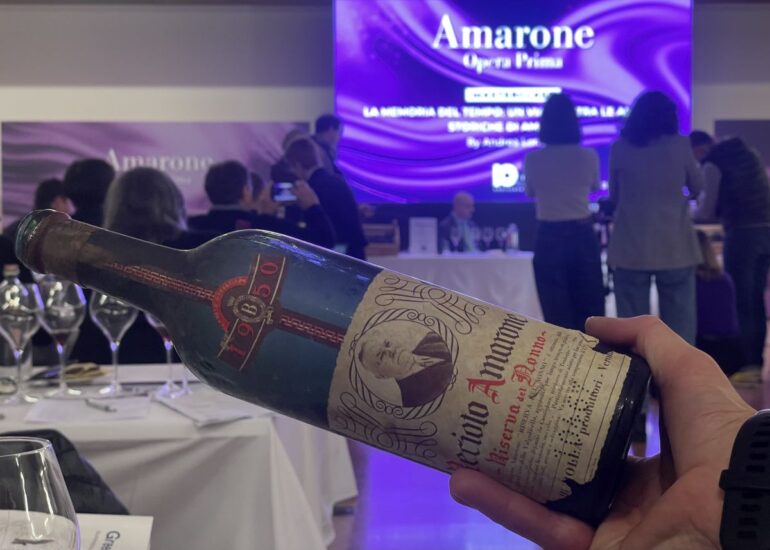 L’Amarone della Valpolicella 1950 di Bolla (Giv) in degustazione 