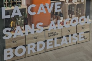 Francia, nuovo sondaggio: il 20% non beve mai il vino. E a Bordeaux apre un’enoteca analcolica