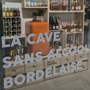 Francia, nuovo sondaggio: il 20% non beve mai il vino. E a Bordeaux apre un’enoteca analcolica