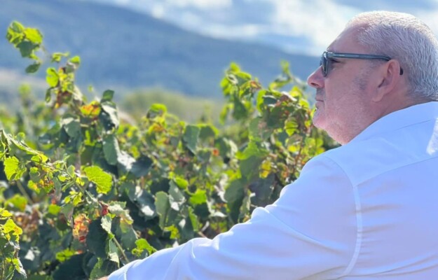 AUDE, BEVANDE ALCOLICHE, CARCASSONNE, CHRISTOPHE BARTHÈS, FRANCIA, LEGGE EVIN, POLITICA, PROMOZIONE, PUBBLICITA, RASSEMBLEMENT NATIONAL, VINO FRANCESE, Mondo