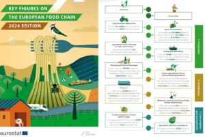 L’agricoltura Ue conta 9,1 milioni di aziende agricole, e copre il 38,4% del territorio