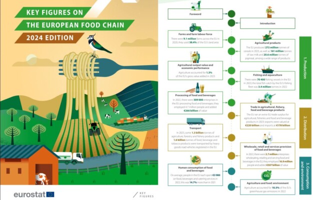 AGRICOLTURA, AZIENDE AGRICOLE, EUROSTAT, ITALIA, PAC, PRODOTTI AGRICOLI, SUPERFICIE AGRICOLA, UNIONE EUROPEA, VALORE AGGIUNTO, VALORE ALLA PRODUZIONE, Non Solo Vino