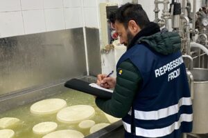 Operazione “Tutela made in Italy”: sequestrati 700 kg di formaggi con etichette false