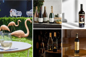 Constellation Brands, i conti tengono, grazie alla birra, che cresce. Giù il “wine & spirits”