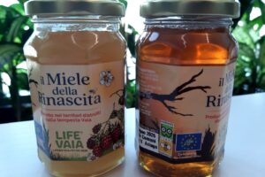 Dalle fioriture spontanee dei boschi colpiti dalla tempesta del 2018 ecco il “Miele della Rinascita”