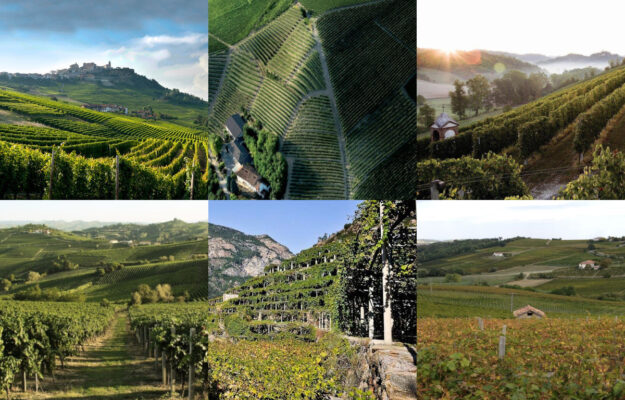ENOTURISMO, LONDON WINE FAIR, LONDRA, PIEMONTE, REGIONE PIEMONTE, SAN SALVATORE 1988, TENUTE SALVATERRA, TURISMO ENOGASTRONOMICO, WINE TRAVEL AWARDS, Mondo