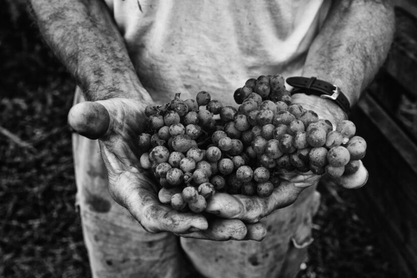 “Eccopinò” con gli Appennino Toscano Vignaioli di Pinot Nero in anteprima nel Mugello