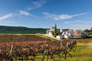 Il Portogallo punta forte sull&rsquo;enoturismo, tra internazionalizzazione e Intelligenza Artificiale