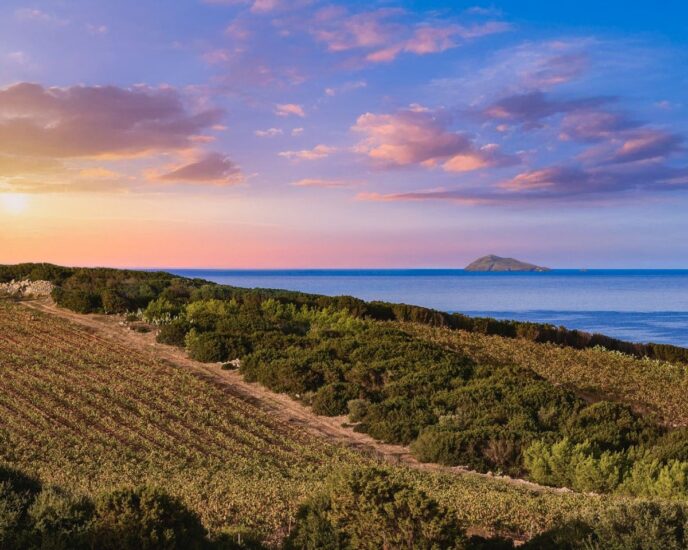 I vini di Sardegna, in degustazione a Roma (ph: Cantina di Santadi) 