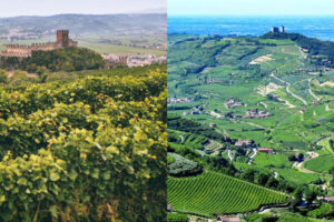 Vino e zonazione: la visione di chi l’ha già fatta e messa in etichetta, e di chi ci sta lavorando