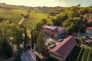 L’americano Michael L. Cioffi è il nuovo proprietario di Valdipiatta, griffe di Montepulciano