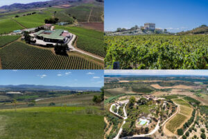 La Sicilia del vino porta la sua storia nel futuro, con “InnoNda”, nel nome del Nero D’Avola