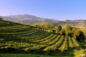 Nasce il &ldquo;Premio Paesaggi Rurali Storici&rdquo; per chi custodisce in maniera attiva il paesaggio italiano