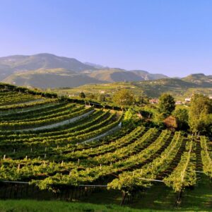 Nasce il &ldquo;Premio Paesaggi Rurali Storici&rdquo; per chi custodisce in maniera attiva il paesaggio italiano