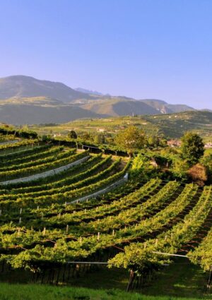 Nasce il &ldquo;Premio Paesaggi Rurali Storici&rdquo; per chi custodisce in maniera attiva il paesaggio italiano