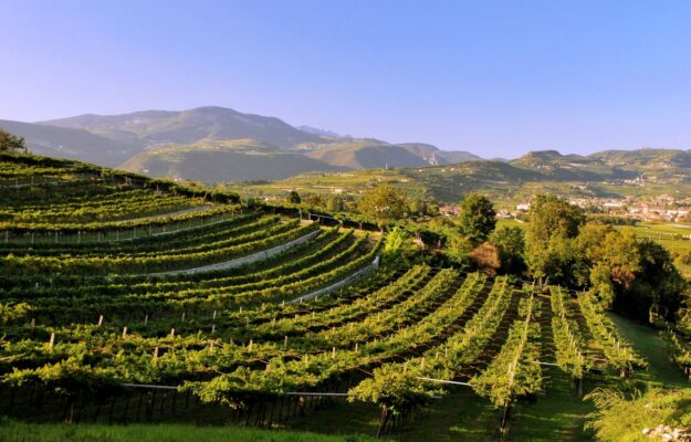 AGRICOLTORI, AGRICOLTURA, ASSOCIAZIONE PAESAGGI RURALI DI INTERESSE STORICO, MAURO AGNOLETTI, PAESAGGI RURALI STORICI, PATRIMONIO CULTURALE, Italia