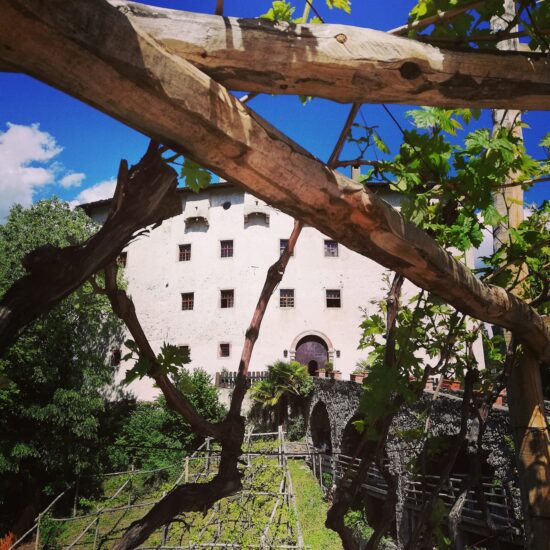 Il vigneto di Versoaln a Castel Katzenzungen in Alto Adige
