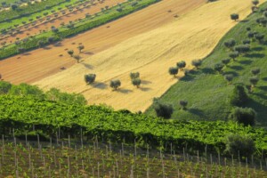 Nasce il “Registro delle Associazioni nazionali delle Città di Identità” par valorizzare i territori