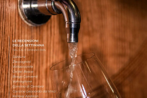 I Vini di WineNews - N. 344