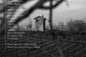 I Vini di WineNews - N. 345