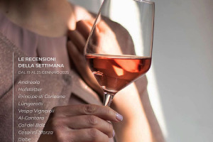 I Vini di WineNews - N. 346