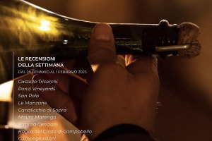 I Vini di WineNews - N. 347