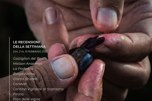 I Vini di WineNews - N. 348