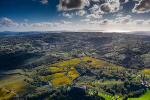 Musk interessato a Castello di Montepò? Jacopo Biondi Santi, a WineNews, smentisce la vendita