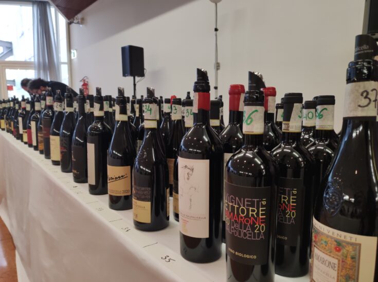 Amarone Opera Prima 2025 - Degustazione Bottiglie Anteprima 2020