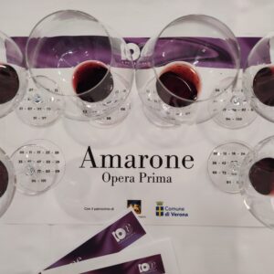 “Amarone Opera Prima” 2025 in the wine glass: the special vintage 2020 in the best tastings WineNews