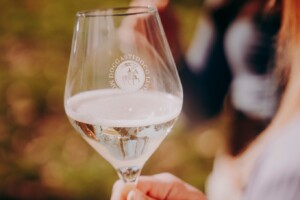 I consorzi del vino puntano sulla digitalizzazione per essere più connessi con le cantine