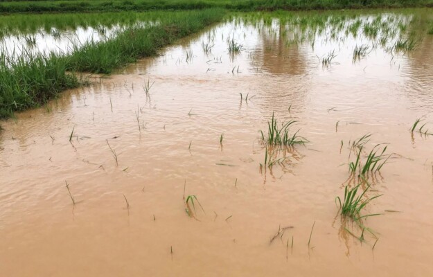 AGRICOLTURA, CAMBIAMENTO CLIMATICO, Coldiretti, COLTURE, EVENTI ESTREMI, MALTEMPO, TEMPERATURE, Non Solo Vino