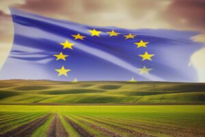 Un’agricoltura più attraente, competitiva e resiliente: la “visione” Ue per il futuro del settore