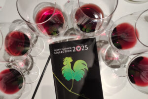 Chianti Classico: un territorio in salute in cui crescono le tipologie “premium” e la remuneratività