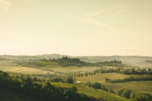L’enoturismo, asset strategico per il vino italiano, a Vinitaly Tourism by VeronaFiere