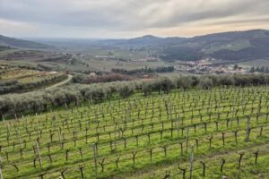 Da Marco Polo al territorio