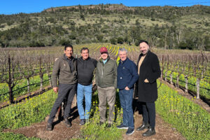 Stag’s Leap Wine Cellars (Antinori) acquisisce Arcadia Vineyard, nella Coombsville Ava