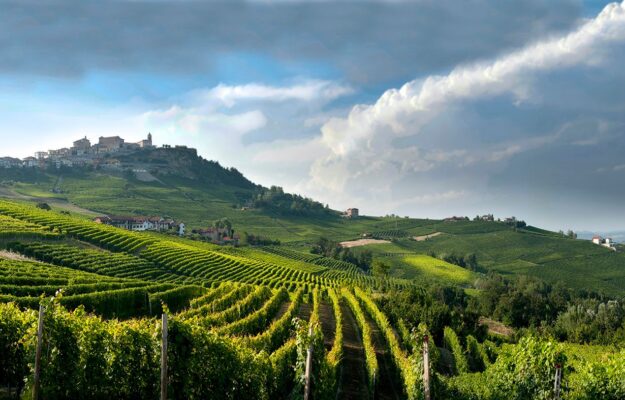 ALEXANDER HALL, BILL THOMSON, BUSINESS, CANTINE, ECONOMIA, ENOTURISMO, INVESTIMENTI, KNIGHT FRANK, MERCATO, QUOTAZIONI, TERRITORI, VIGNETI, Italia