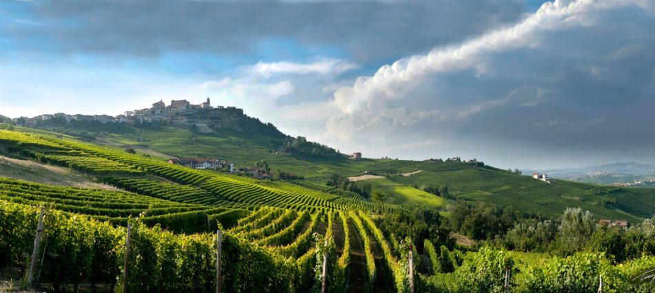 Per business, prestigio, storia, bellezza: perch&eacute; (e come) si investe nel vino, secondo Knight Frank