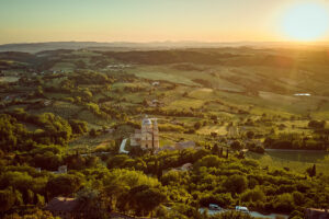 Il Vino Nobile di Montepulciano tiene sul mercato, e punta all’alto di gamma con le “Pievi”