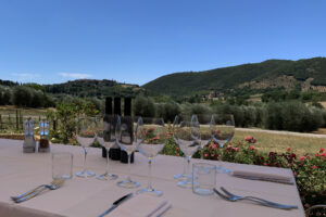 Tenuta Fanti - Montalcino (SI)