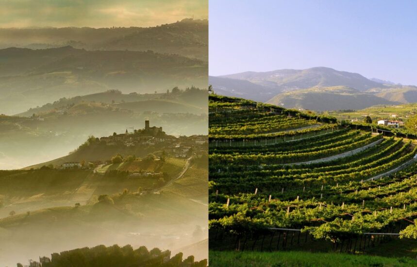 Le Langhe e la Valpolicella