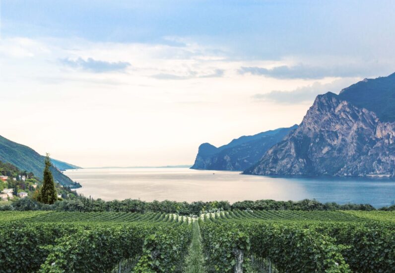 “Lake Garda Wines”, il racconto dei vini del Lago di Garda