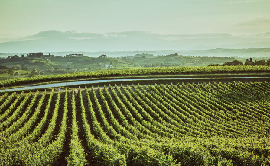 Il territorio del Vino Nobile di Montepulciano