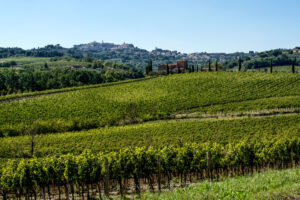 Cultura, sostenibilit&agrave;, bellezza, visione: il Vino Nobile di Montepulciano disegna il suo domani