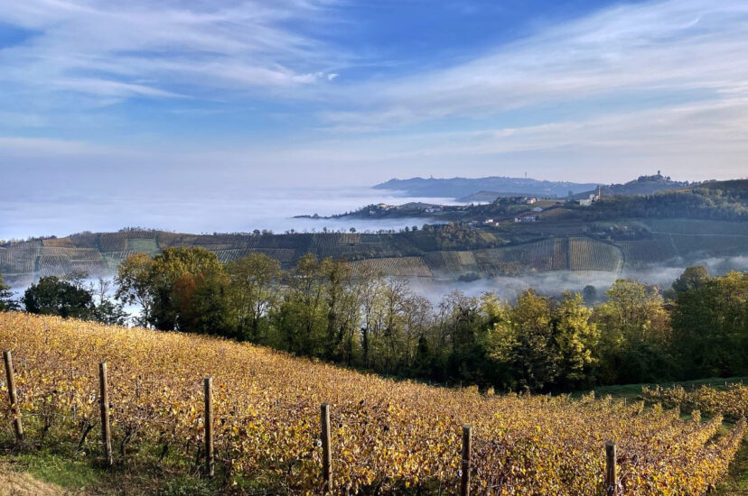 Il territorio dell’Oltrepò, terra di grande Pinot Nero, ma non solo